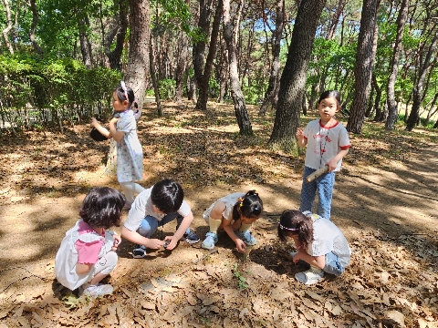 [새벗유치원] 2026학년도 천년 숲 체험 실시 