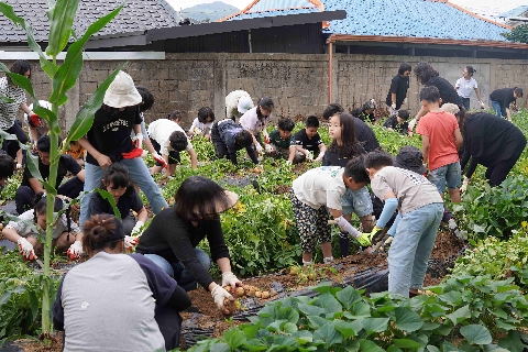 [용문초] 흙을 만지며 배운 생명의 가치, 학부모와 함께한 텃밭 수확