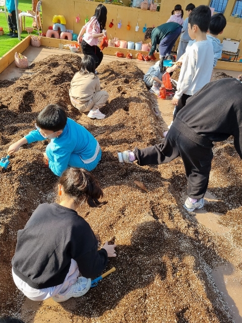 [강구초병설유치원] 2025학년도 유초이음교육 고구마캐기 현장체험